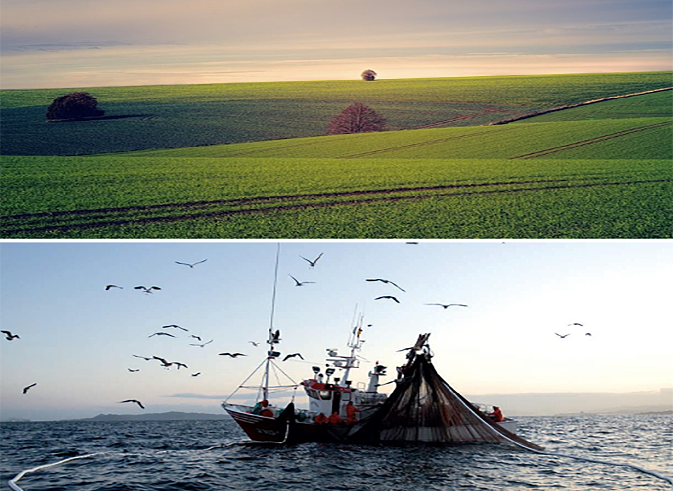 RSPP/ASPP - MODULO B - SP2 (PESCA)